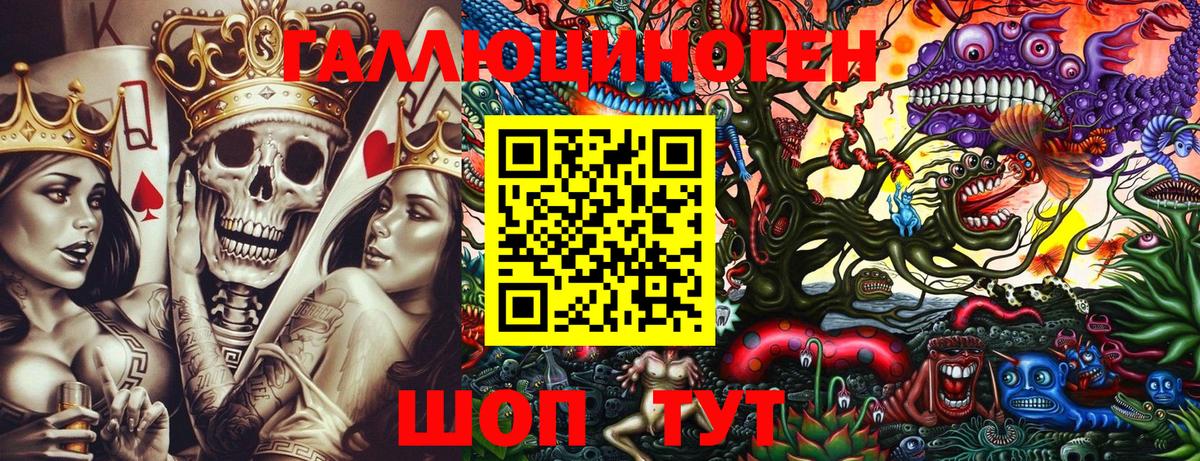 Псилоцибиновые грибы Cubensis Добрянка