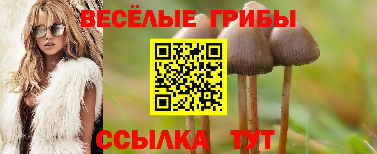 Добрянка  Галлюциногенные грибы мухоморы  Вход с VPN 